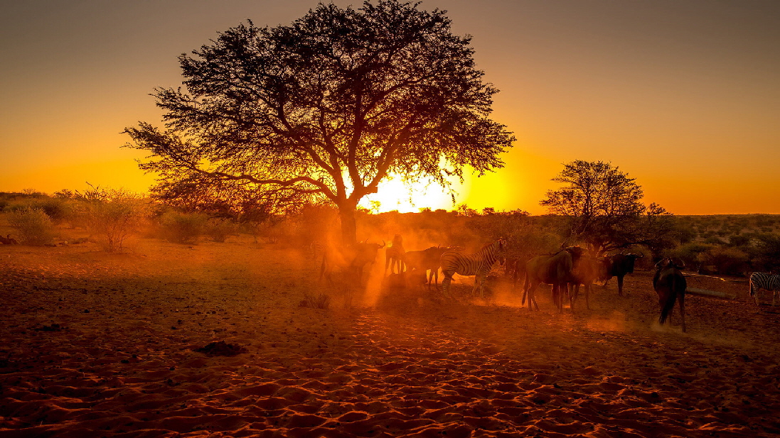 Bagatelle Kalahari Game Lodge  Reitsafari