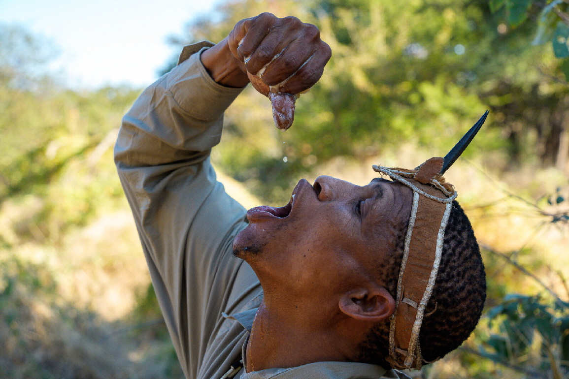 Dinaka Camp Kalahari  Buschmann