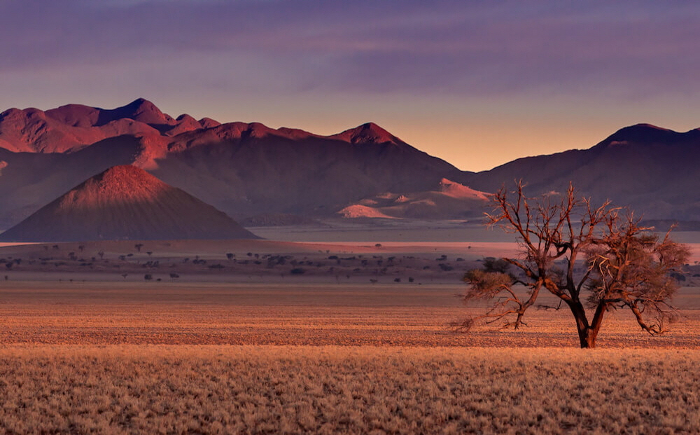 Kwessi  Dunes Namibia 