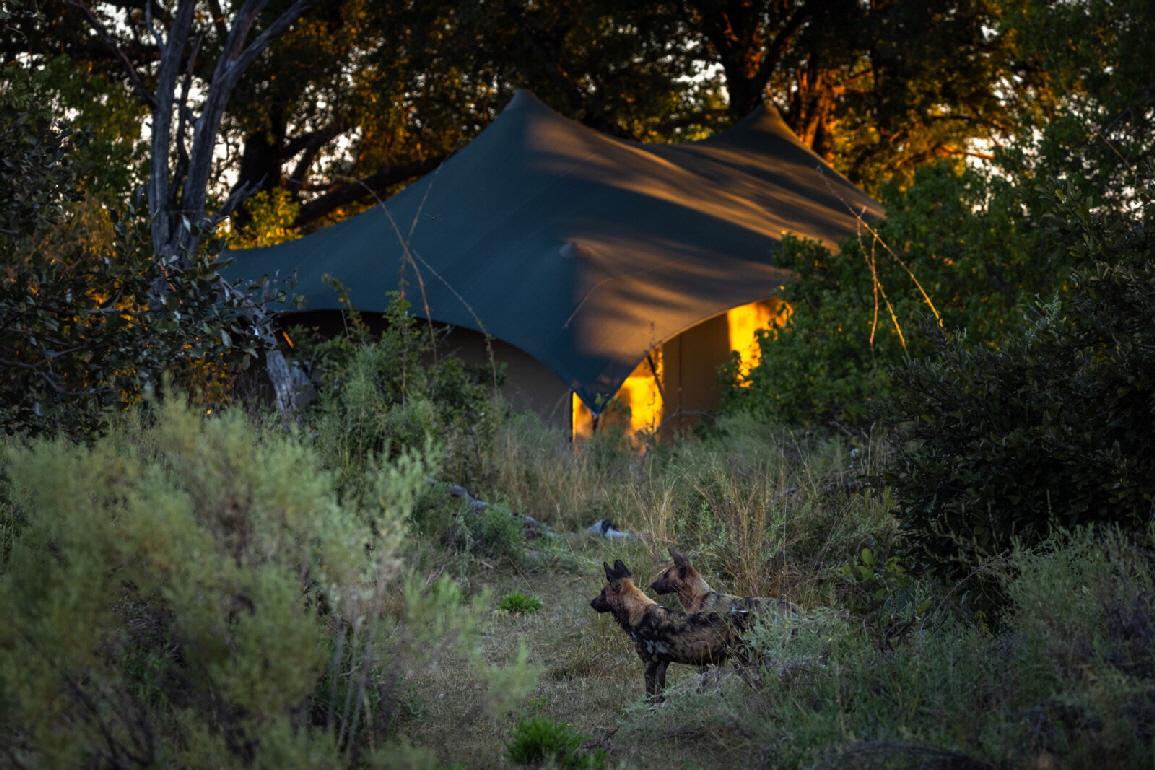 Maxa camp Okavango Botswana