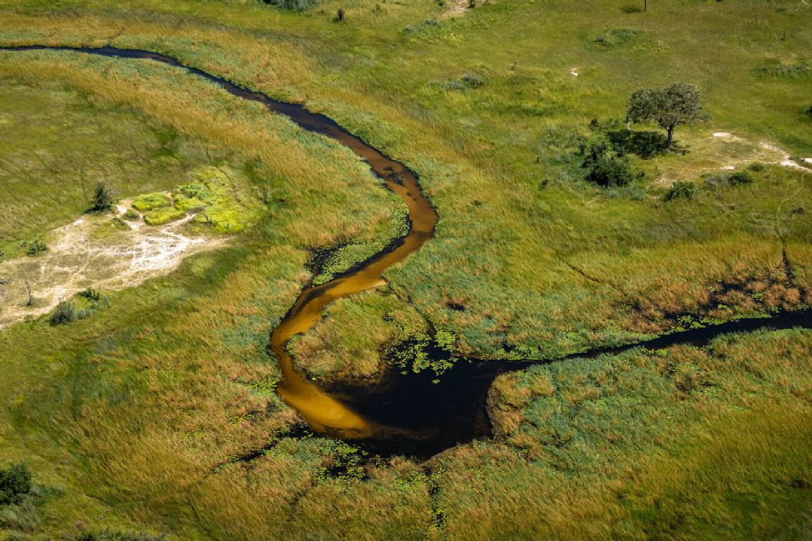 Maxa camp Okavango Botswana