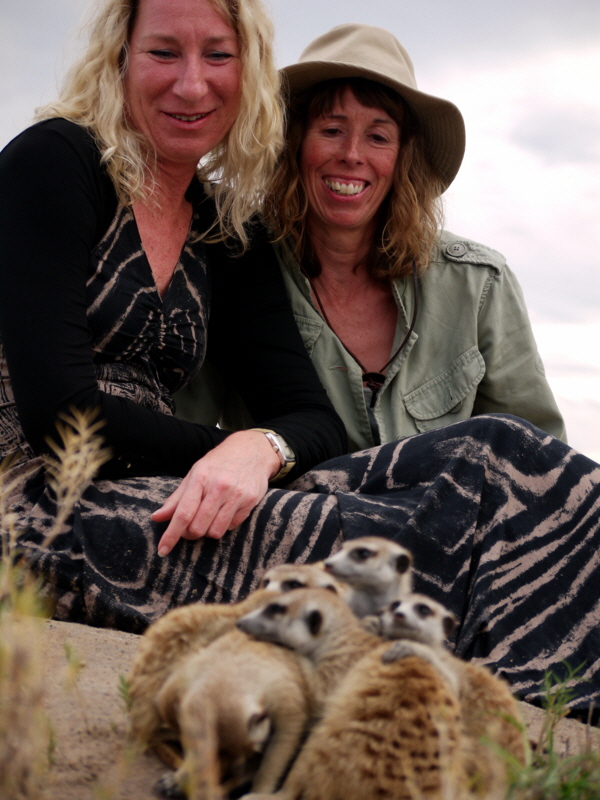 Botswana  Jacks camp Erdm�nnchen 