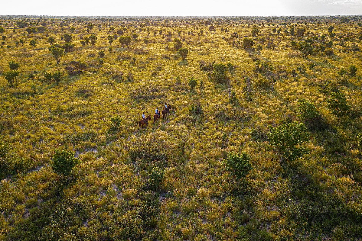 Ausritt in die Kalahari