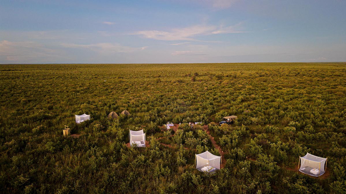 Feline Fields Fly camp Kalahari