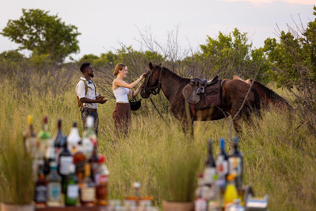 Feline Fields Lodge in der Kalahari