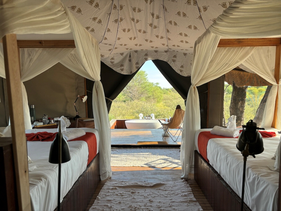 Feline Fields Lodge in der Kalahari