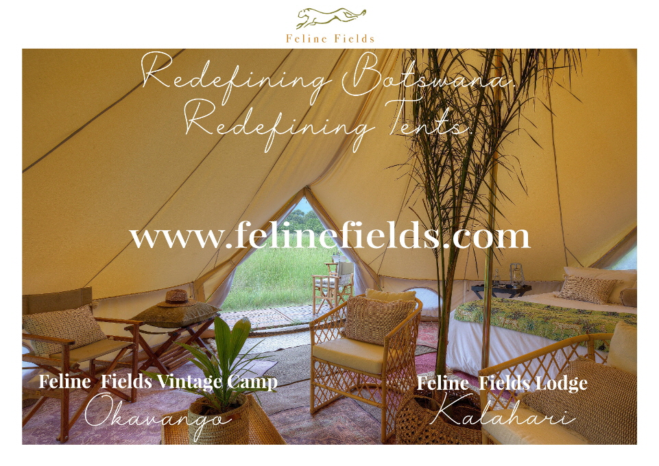 Feline Fields Vintage Camp