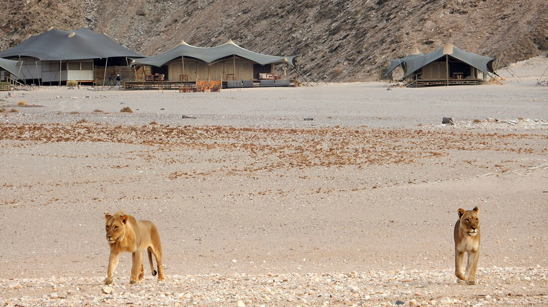 Hoanib Valley Camp Lwen im Camp